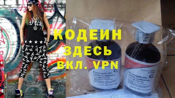 крисы Богородицк