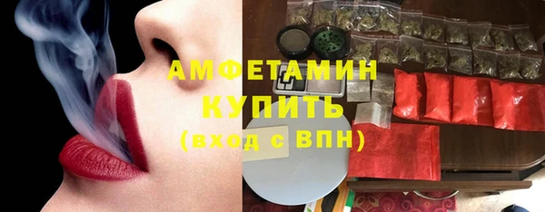 крисы Богородицк