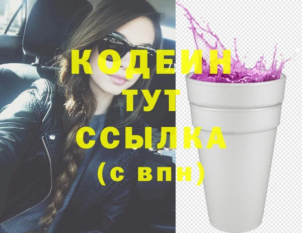 крисы Богородицк
