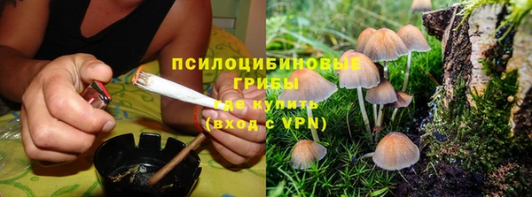 гашик Богородск