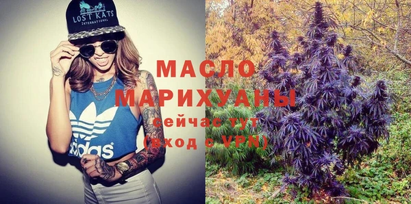 крисы Богородицк