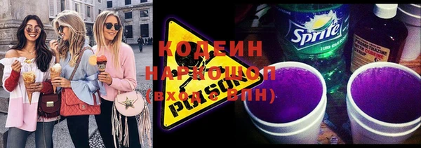 крисы Богородицк