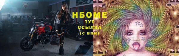 крисы Богородицк