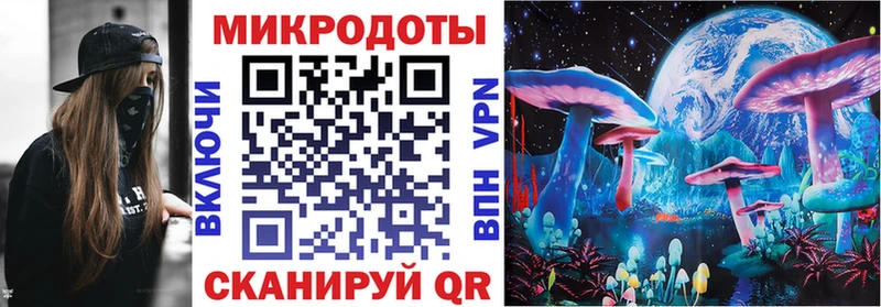 Купить  Сольвычегодск  Галлюциногенные грибы Psilocybine cubensis 