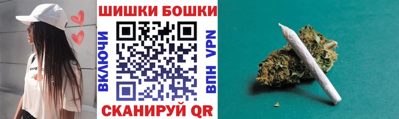 Купить закладки  Сольвычегодск  Бошки марихуана Ganja 